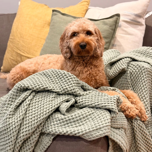 Waffle Blanket